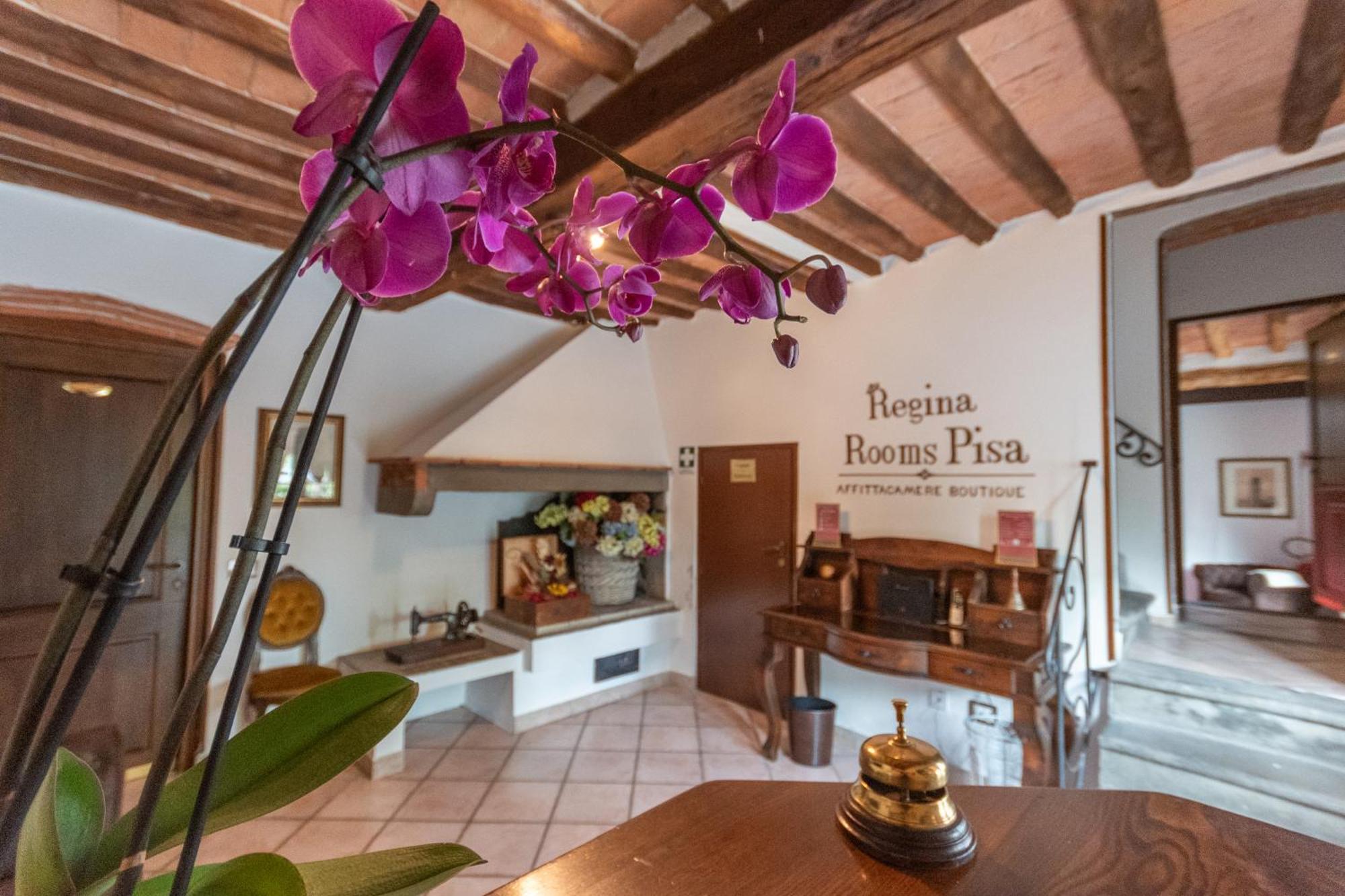 Regina Rooms Pisa Eksteriør bilde